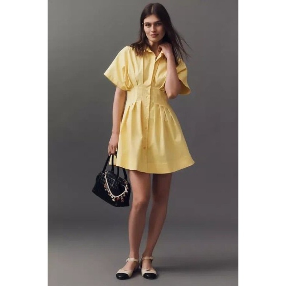 EXQUISE The Tobie Button-front Pleated Shirt Dress Button Front MP